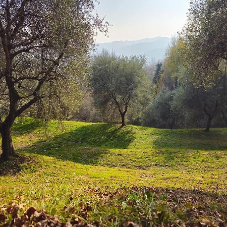 B&B Ca'Baracca Bellavista Бассано-дель-Граппа Экстерьер фото
